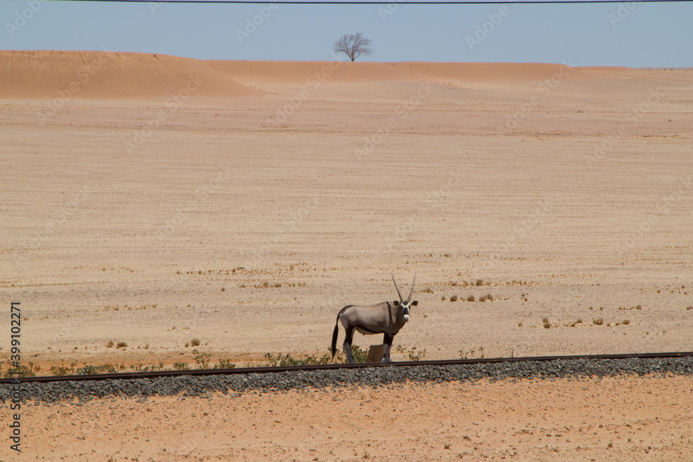 Auf dem Weg nach Lüderitz, Namibia Auf dem Weg nach Lüderitz, Namibia