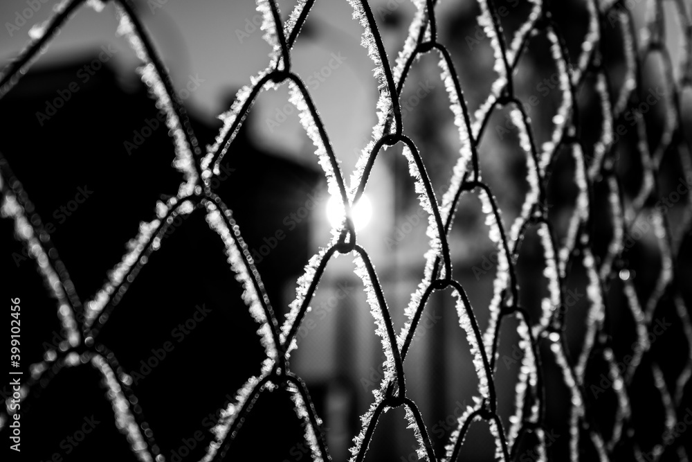 Fototapeta premium metal mesh covered with snow frost