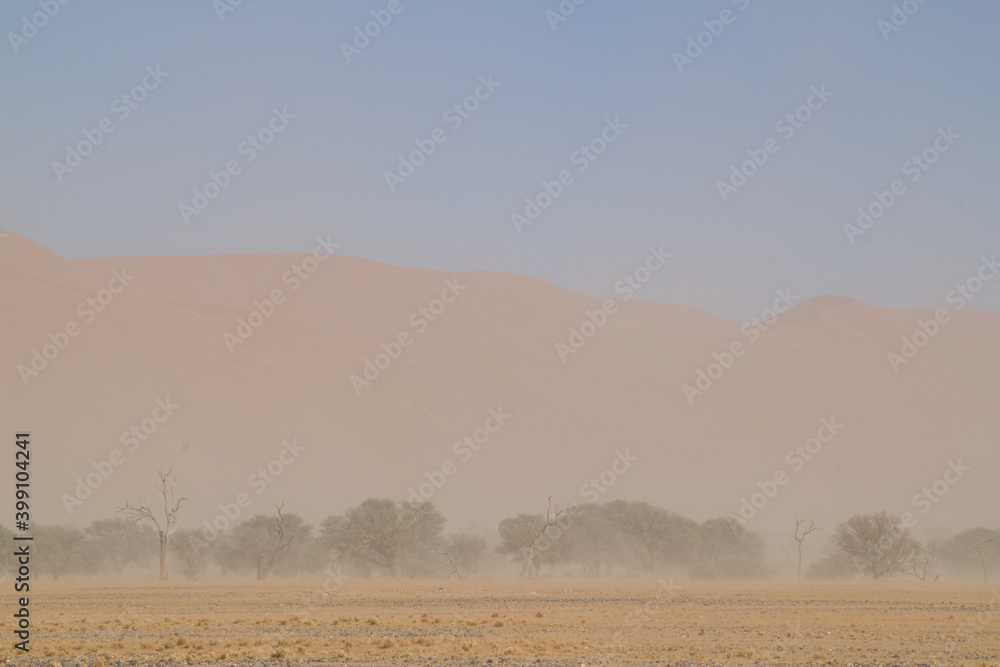 Obraz premium Big Daddy Düne in Namibia nahe Deadvlei, dem Tal des Todes