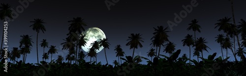 Silhouettes of palms against the background of the night sky, the moon over the palms, the moon in the palms, the night beach with palms, the moon over the beach,