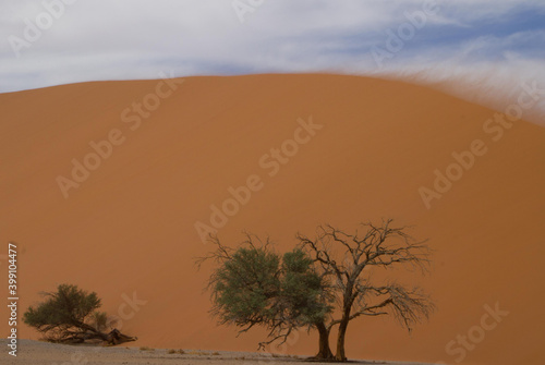 Big Daddy Düne in Namibia nahe Deadvlei, dem Tal des Todes