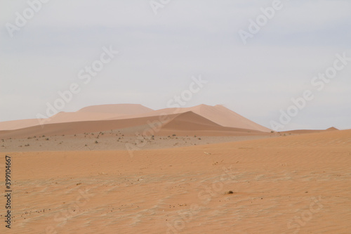 Deadvlei  das Tal des Todes in Namibia