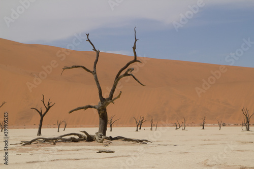Deadvlei, das Tal des Todes in Namibia © Andreas