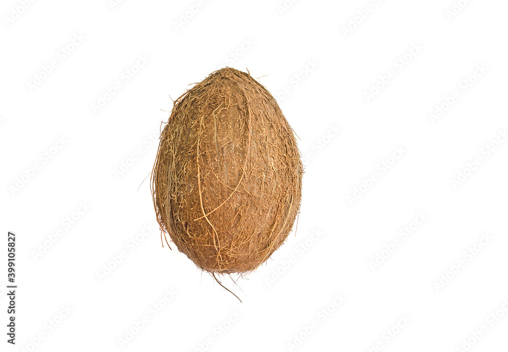 Coconut on white background Coconut on white background