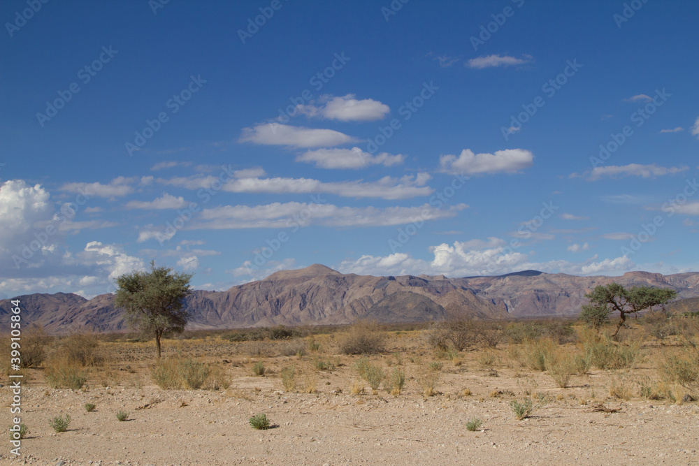 Naklejka premium Im Ugab Flußbett in Namibia