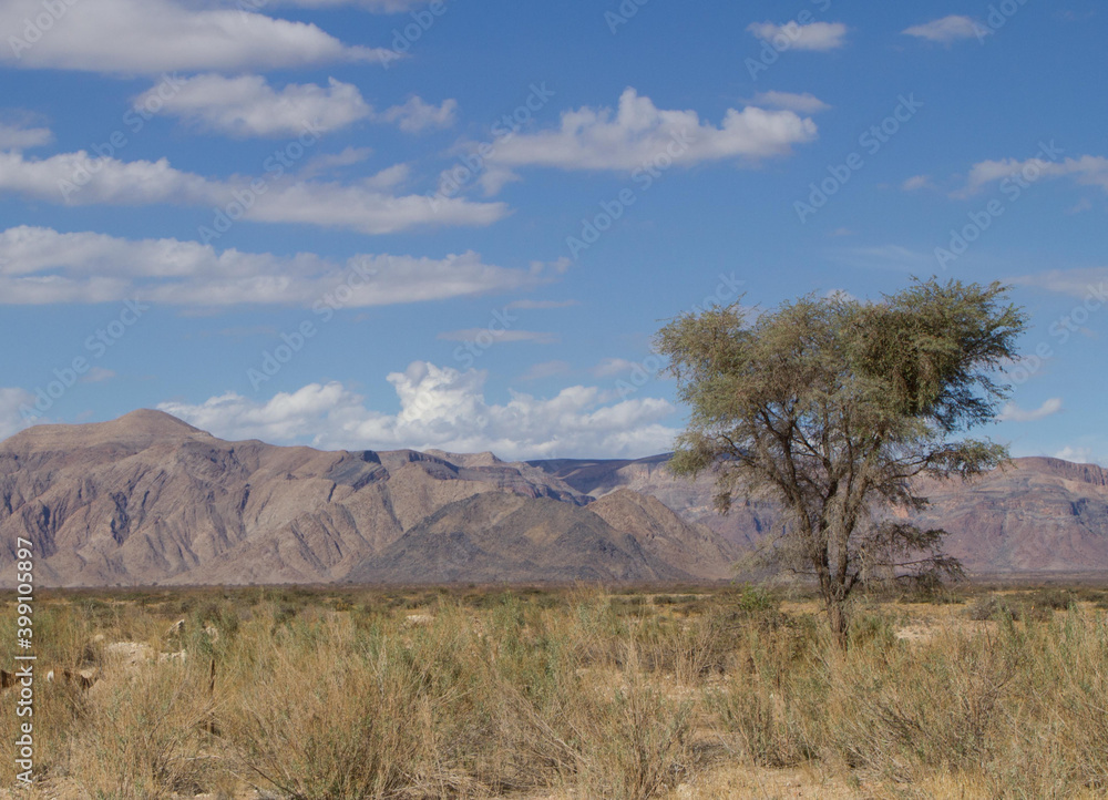 Im Ugab Flußbett in Namibia