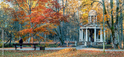 Autumn morning in old  public park, Europe,