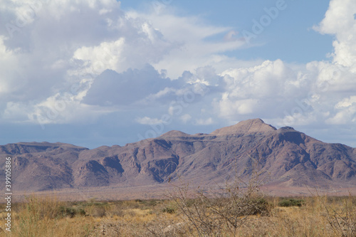 Im Ugab Flußbett in Namibia