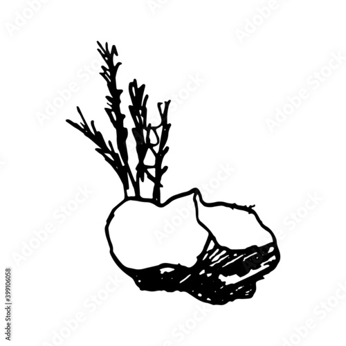 stones, cobblestones and grass vector sketch