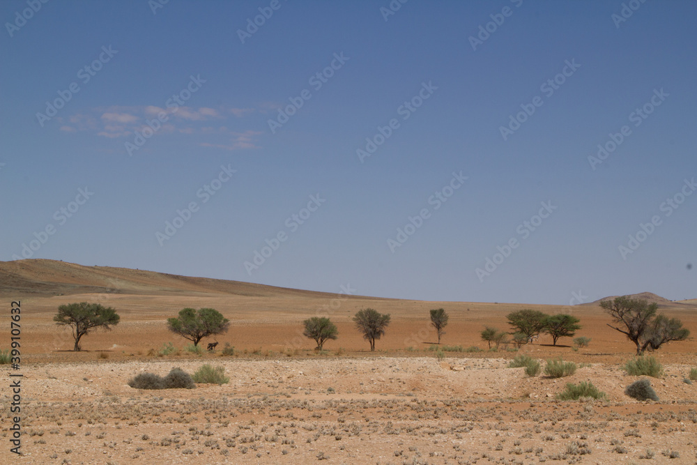 Landschaft in Namibia im Südwesten