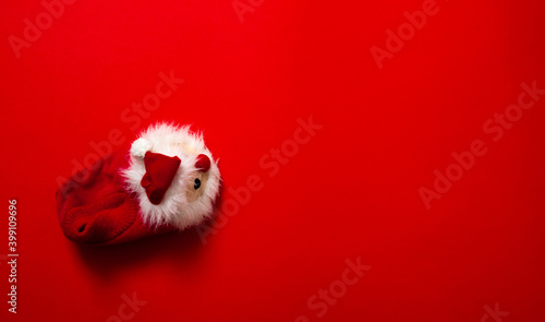 One New year, Christmas slipper in form of santa claus with white soft fur on red background with place for text. Funny, cozy, fluffy children shoe. Warm and original gift for the winter holidays