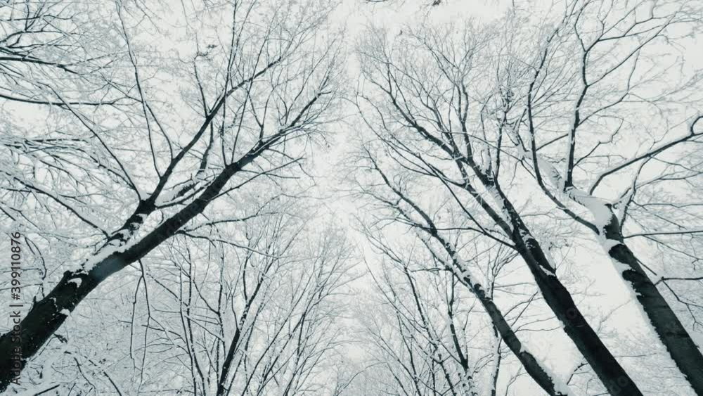 Hiking at seasonal winter forest park with iced trees covering by snow pov shot clear wintertime sky Hiking at seasonal winter forest park with iced trees covering by snow pov shot clear wintertime sky