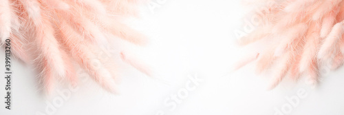 Beautiful flowers composition. Pink soft lagurus or rabbit's tail grass texture background. Cosmetics product advertising backdrop. Pink floral minimal composition. Showcase mockup. Copy space