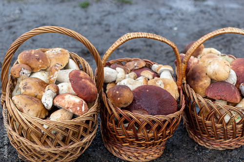 Paved country road in the mountains and three baskets of large porcini mushrooms for sale. Magnificent large forest mushrooms on the side of the road.