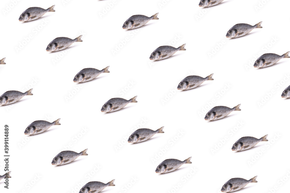 pattern with image of whole sea bream fish. minimal concept pattern with image of whole sea bream fish. minimal concept