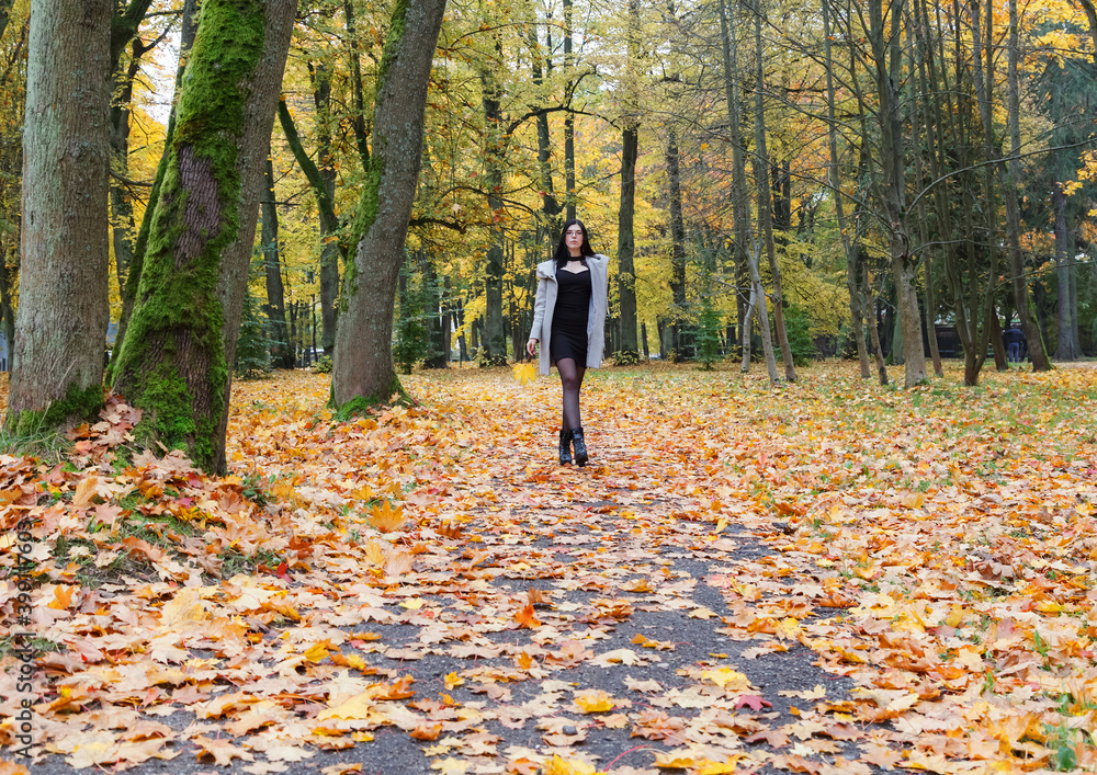 Fototapeta premium young girl in a gray coat walks on an alley in a city park