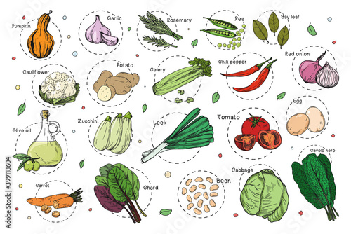 Sketch of different vegetables. Recipe stickers. Set of vegetables isolated on a white background.