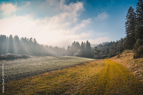 A dirt road leads through beautiful winter landscape with frozen fields, heather and forest on a sunny day. Fog moves over the forest in the background.