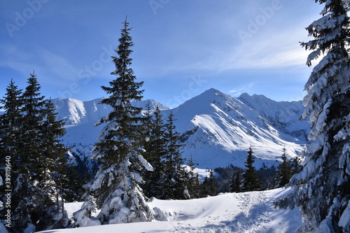 Obraz na płótnie Tatry, zima, śnieg, Dolina Gąsienicowa, szlak na Kasprowy Wierch, w salonie