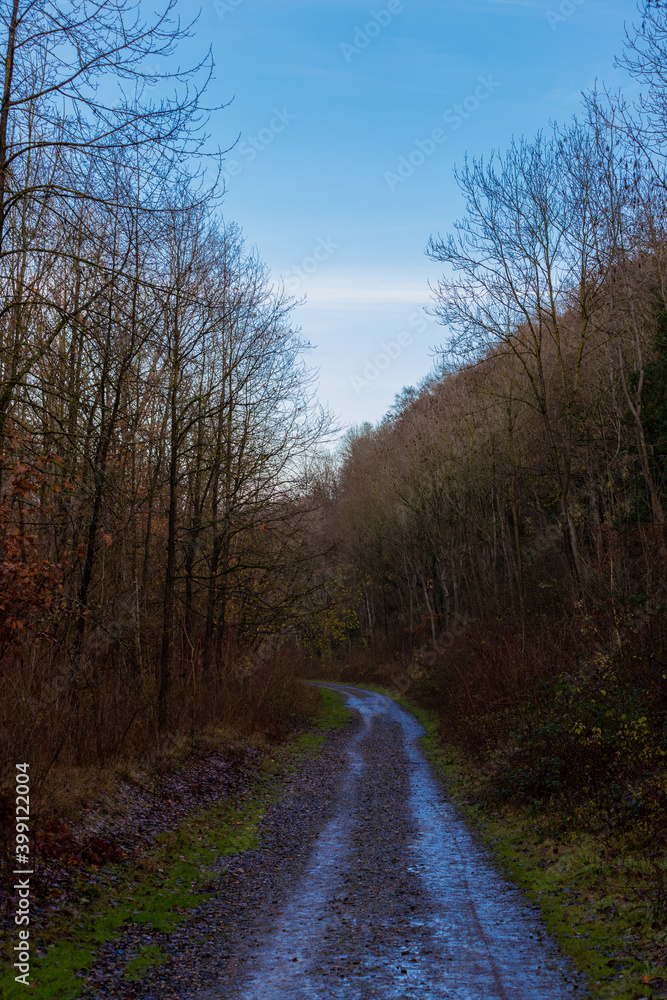 Dirt track in a forest near Maastricht full of mud during a sunny autumn morning in December