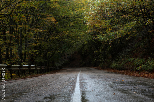 wet road