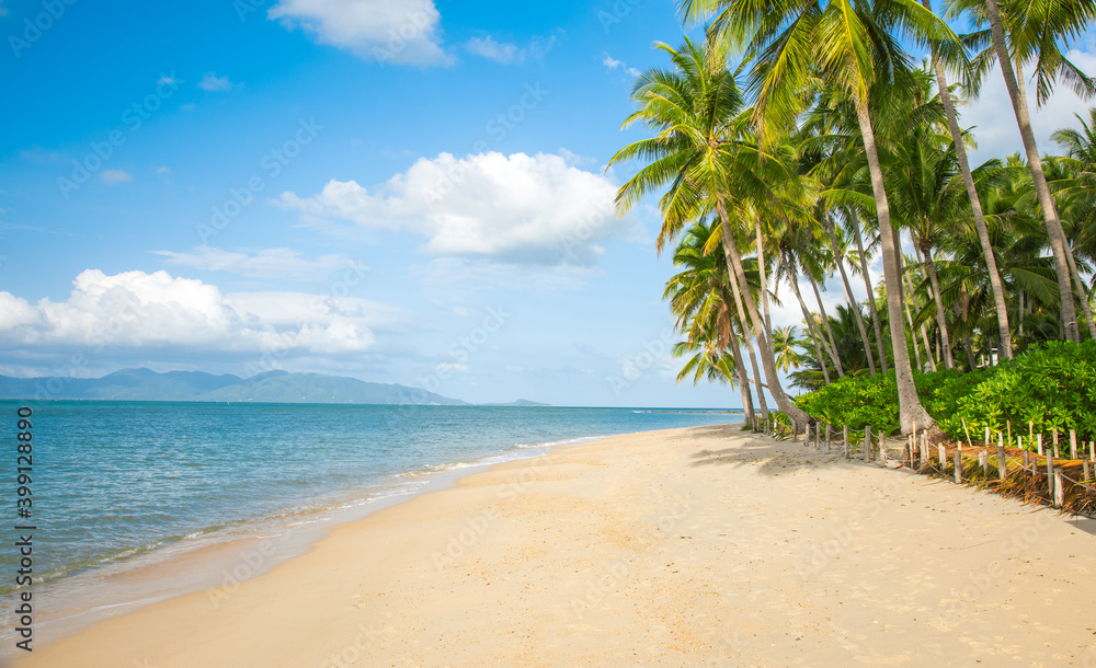 tropical beach with cocnut palm tree tropical beach with cocnut palm tree