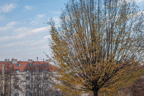 Trees with yellow leaves and buildings on the city of Prague, on an autumn day in Bubenec district. Prague 6, Prague, Czech Republic. photo