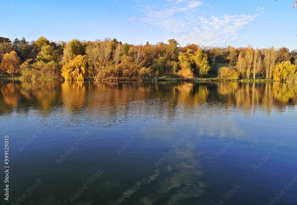 Fototapeta premium Autumn trees reflected in water