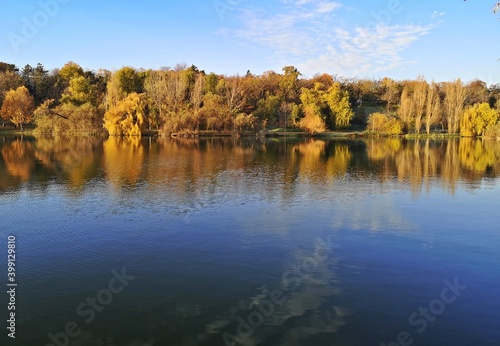 Autumn trees reflected in water