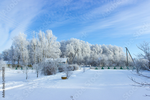Winter park © Андрей Лось