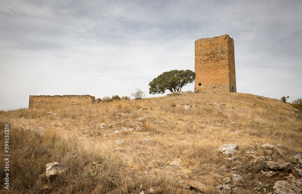 Torreon (tower) medieval de La Pica (Municipality of Tajahuerce), province of Soria, Castile and Leon, Spain
