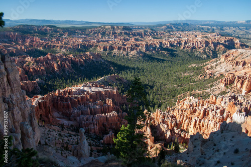 Early morning Bryce Canyon scenery