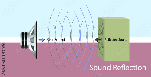 Sound waves hit a hard surface and return to the sound source. sound reflection. 