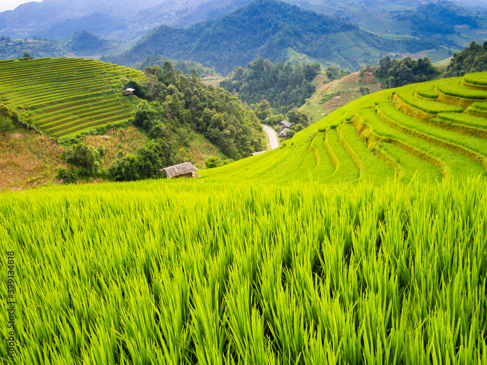 Typical landscape of terraced rice field in the mountains of Mu Cang Chai, Yen Bai Province, northern Vietnam
