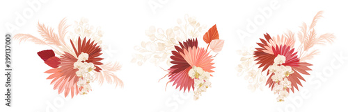 Set of watercolor dry flowers vector set. Pampas grass, dried palm leaves, orchid, lunaria flower illustration