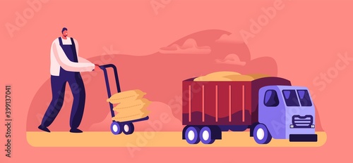 Worker Loading Sacks with Flour on Truck, Cereals Manufacture, Production, Character Producing Wheat. Bread Industry
