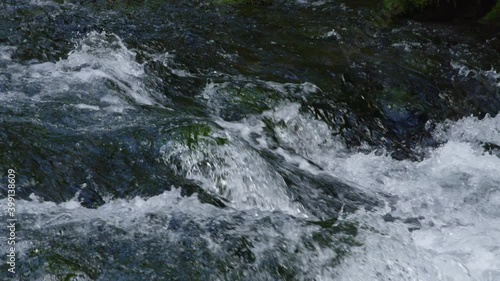 Wallpaper Mural SLOW MOTION, CLOSE UP: Detailed shot of river coursing and splashing across the gloomy woods. River cascading through a forest creates a somber natural scenery. Crystal clear river rapids splashing. Torontodigital.ca