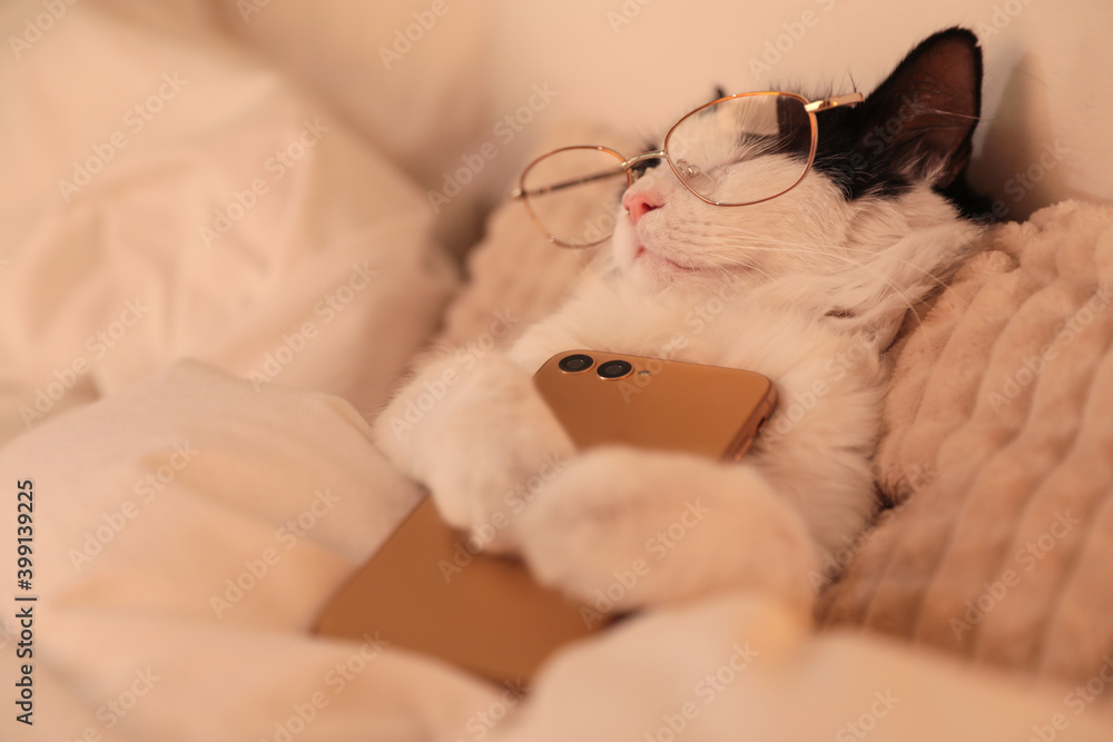 Cute cat with glasses and smartphone sleeping on bed at home - obrazy, fototapety, plakaty 