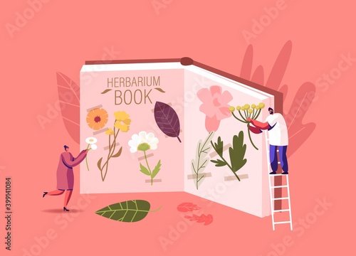 Tiny Male and Female Characters Stand on Ladder at Huge Book for Collecting Herbarium. People Learning Floral Elements