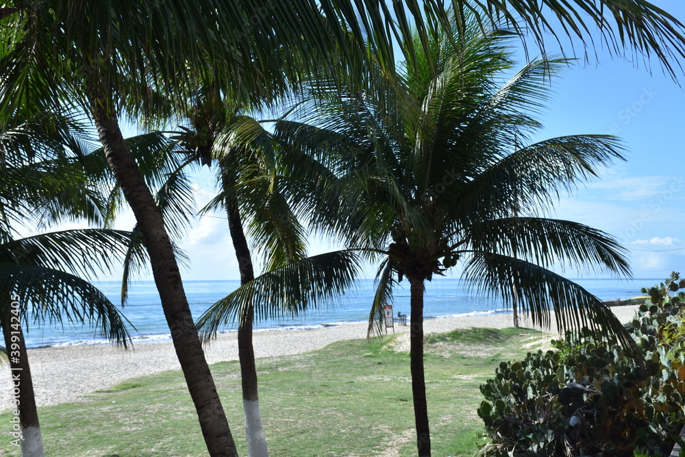 Obraz premium recife - pernambuco