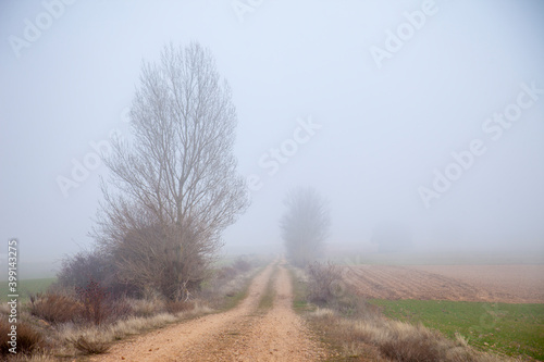 road in the fog, land of Castille 