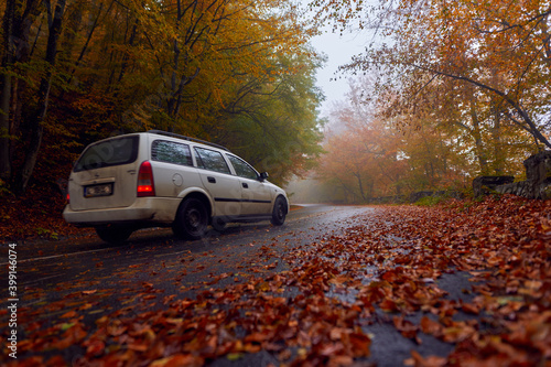 Car on a wet road in the forest