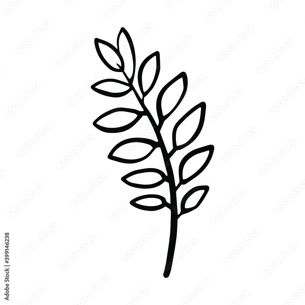 Hand drawn doodle vector branch for posters, greeting cards, web, clothes, wrapping paper. Floral outline element isolated on white background.