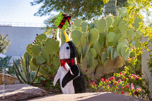 Afternoon view of the cactus garden with christmas decoration of Ethel M Chocolate Factory photo