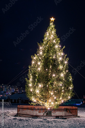 Christmas tree Nuuk Greenland.
