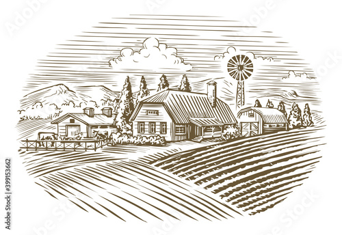 Farm. Agriculture, farming sketch vintage vector