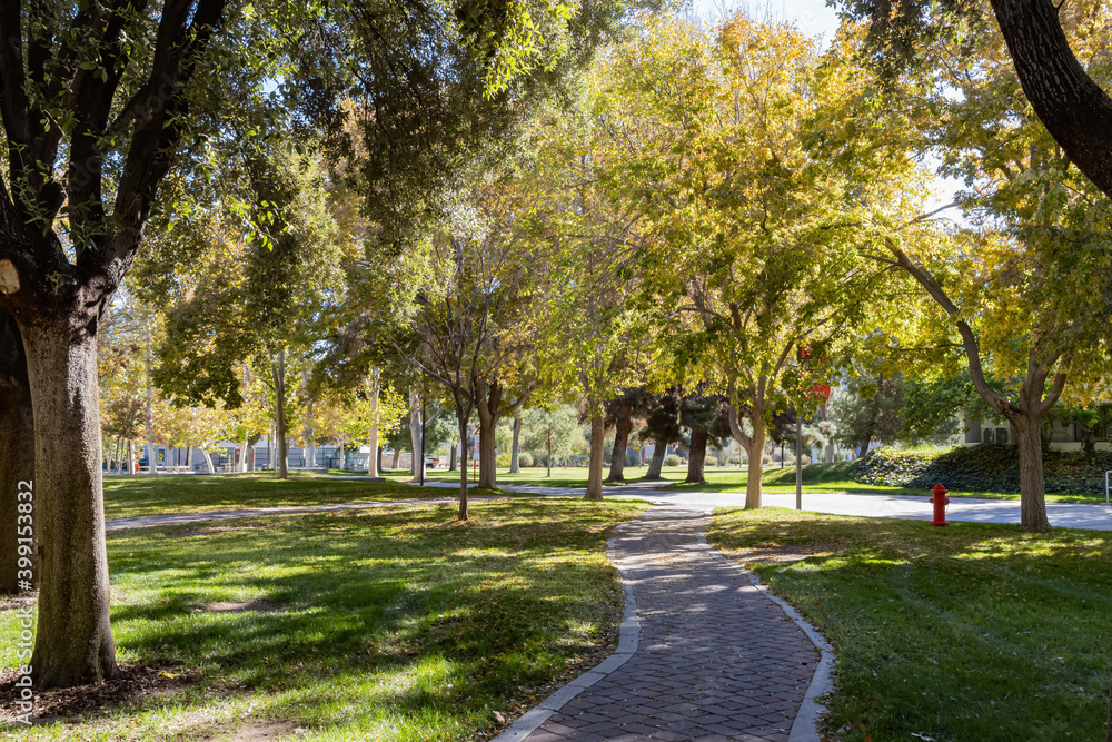 Morning view of the garden of UNLV