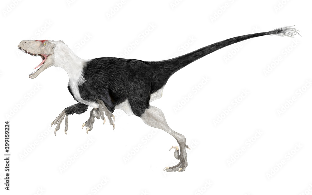 Stock-illustrationen 恐竜、ディノニクス 白亜紀前期から後期にかけて ...