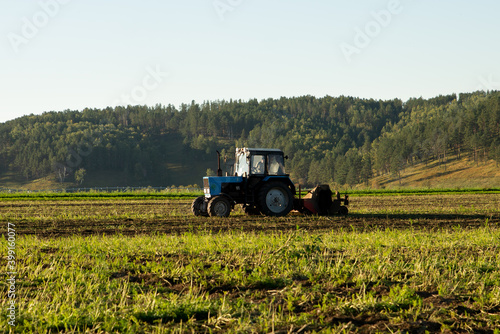 Agricultural tractor for harvesting on a sunny day, agriculture. Plant a harvest
