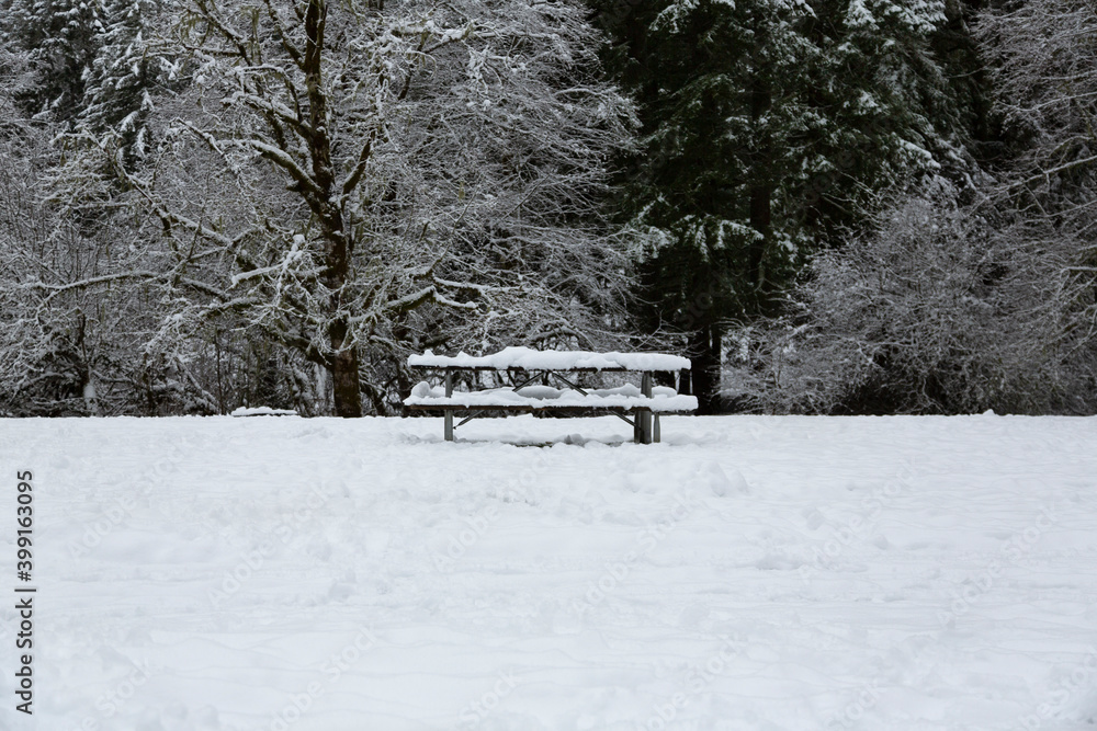 A single picnic bench, covered in snow, in the middle of a snowy white field with trees in the background - Silver Falls State Park, Oregon A single picnic bench, covered in snow, in the middle of a snowy white field with trees in the background - Silver Falls State Park, Oregon